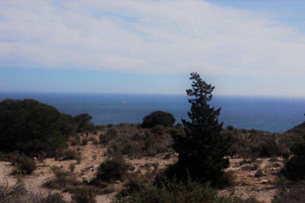 Modern Flat At Garbinet With Wifi * Alacant